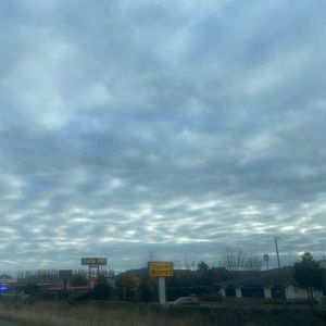 Meet your Posher, Kenzie